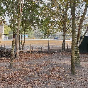 Construction-side new restaurant