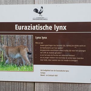 Sign european lynx