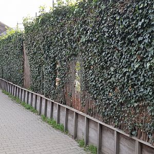 Outside Big cat-enclosures