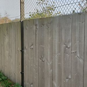 Fence lynx enclosure