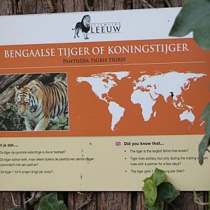 Sign "Bengal" tiger