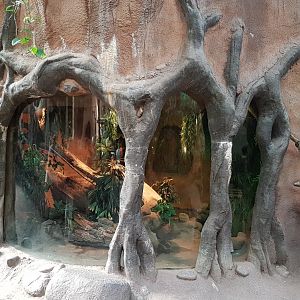 Burmese python enclosure