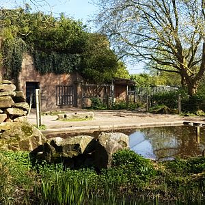 Elephant seperation-enclosure