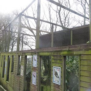 Aviaries 040319