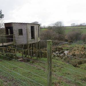 Lookout over Sitatunga enclosure 040319