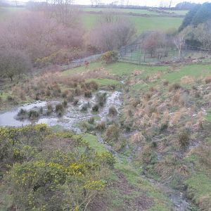 Sitatunga enclosure 040319
