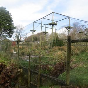 White stork and White-faced whistling duck aviary 040319