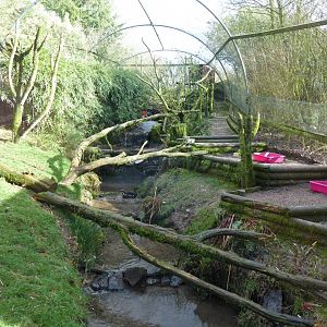 Aviary for Scarlet ibis and Roseate spoonbill 040319