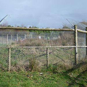 Future development for Wolverines 040319