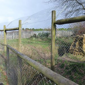African wild dog enclosure 040319