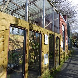 Former enclosure for tamarins 040319