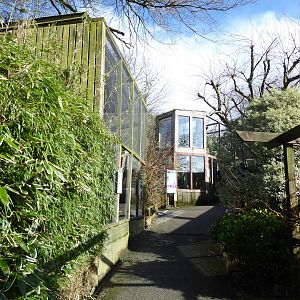 View towards Howler monkey enclosure 040319