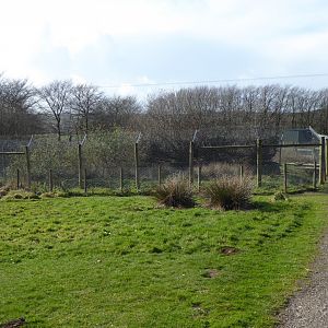 Future development for Wolverines 040319