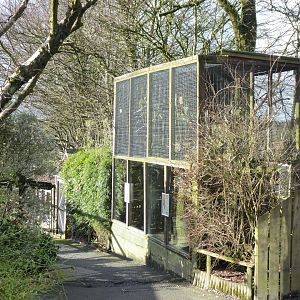 Parrot aviary 040319