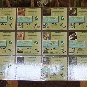 Bird-signs Tropical Hall