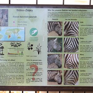 Sign and ID's Gettorfs Böhm zebras