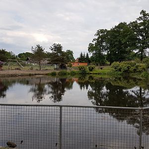 Asian small-clawed otter enclosure