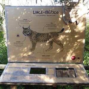 Informational signage for Iberian Lynx (Lynx pardinus) within the "Tapada do Lince-ibérico" complex