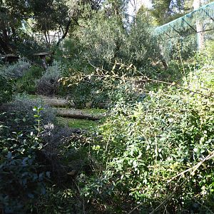First viewing window into the exhibit for Iberian Lynx (Lynx pardinus) within the "Tapada do Lince-ibérico" complex
