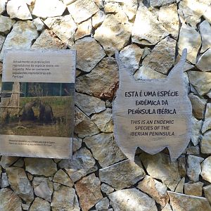 Informational signage for Iberian Lynx (Lynx pardinus) within the "Tapada do Lince-ibérico" complex