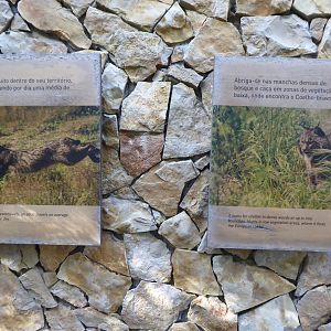 Informational signage for Iberian Lynx (Lynx pardinus) within the "Tapada do Lince-ibérico" complex