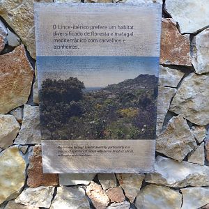 Informational signage for Iberian Lynx (Lynx pardinus) within the "Tapada do Lince-ibérico" complex