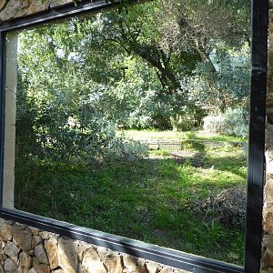 Second viewing window into the exhibit for Iberian Lynx (Lynx pardinus) within the "Tapada do Lince-ibérico" complex