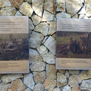 Informational signage for Iberian Lynx (Lynx pardinus) within the "Tapada do Lince-ibérico" complex