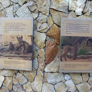 Informational signage for Iberian Lynx (Lynx pardinus) within the "Tapada do Lince-ibérico" complex