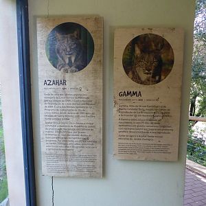 Informational signage for Iberian Lynx (Lynx pardinus) within the "Tapada do Lince-ibérico" complex