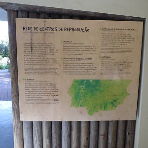 Informational signage for Iberian Lynx (Lynx pardinus) within the "Tapada do Lince-ibérico" complex