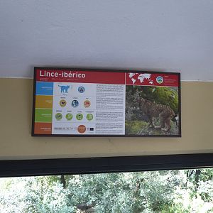 Informational signage for Iberian Lynx (Lynx pardinus) within the "Tapada do Lince-ibérico" complex