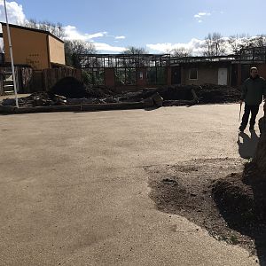 Palm oil site being Dug up