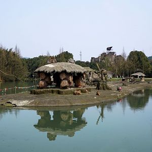 Hamadryas baboon exhibit