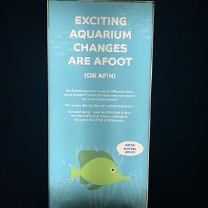 New Aquarium Sign 03/2019