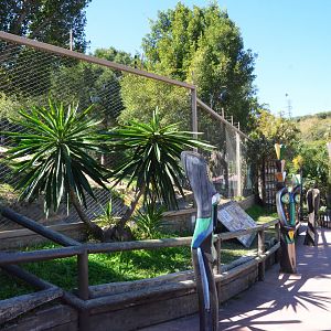 Cheetah Viewing at Selwo Aventura, 13/03/19