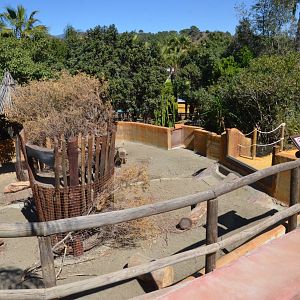 Cape Crested Porcupine Enclosure at Selwo Aventura, 13/03/19