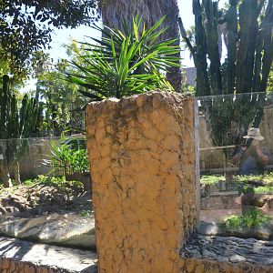 Meerkat Enclosure at Selwo Aventura, 13/03/19