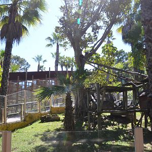 Red Panda Enclosure at Selwo Aventura, 13/03/19