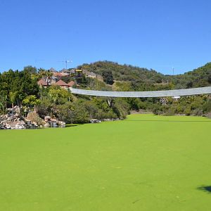 Massive Wobbly Bridge at Selwo Aventura, 13/03/19