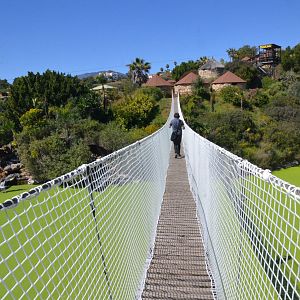 Massive Wobbly Bridge at Selwo Aventura, 13/03/19