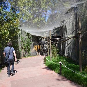 White-cheeked Turaco Aviary/Lemur Viewing at Selwo Aventura, 13/03/19