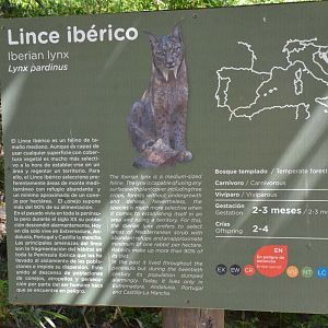 Iberian Lynx Signage at Selwo Aventura, 13/03/19