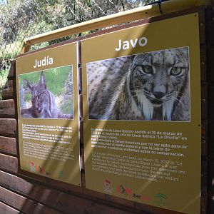Iberian Lynx Signage at Selwo Aventura, 13/03/19