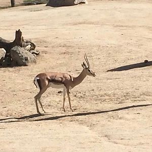 Can somebody identify