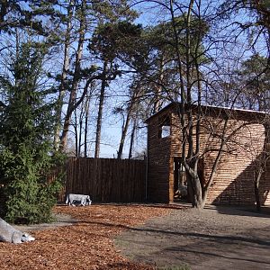 Observation tower at wolf enclosure