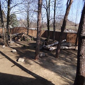New wolf enclosure