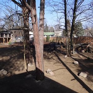 New wolf enclosure