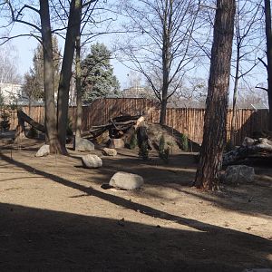 New wolf enclosure