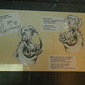 Hippopotamus dentition diagram (Feb 27th, 2019)